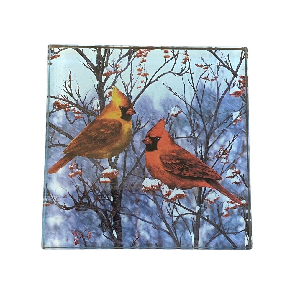 Set of 4 Hampton Tempered Glass Winter Cardinal Coasters Yellow & Red Cardinal